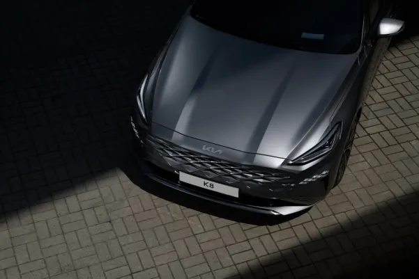 BingoBilly Casino Aip Android/iOS